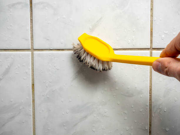 Best Mold Testing  in Hutchins, TX