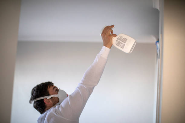 Best Mold Remediation  in Hutchins, TX